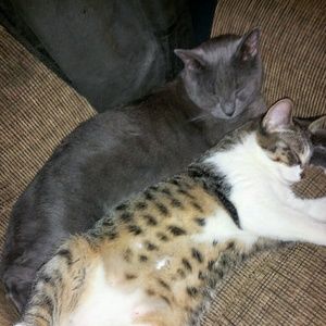 Meet your Posher, April